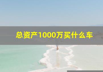 总资产1000万买什么车