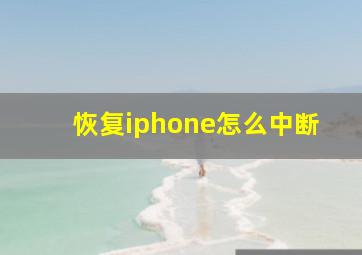 恢复iphone怎么中断