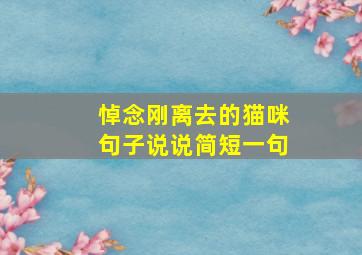 悼念刚离去的猫咪句子说说简短一句