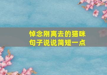 悼念刚离去的猫咪句子说说简短一点