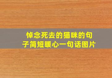 悼念死去的猫咪的句子简短暖心一句话图片