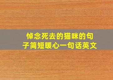 悼念死去的猫咪的句子简短暖心一句话英文