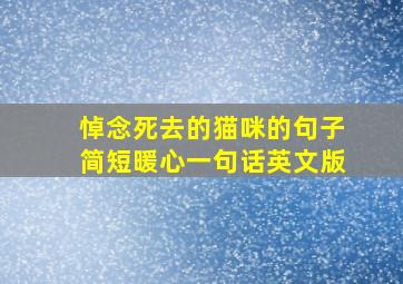 悼念死去的猫咪的句子简短暖心一句话英文版