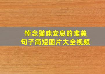 悼念猫咪安息的唯美句子简短图片大全视频