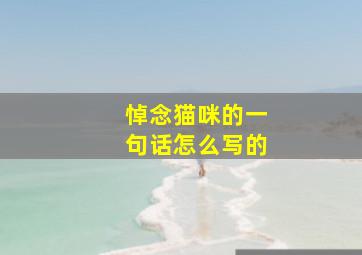 悼念猫咪的一句话怎么写的