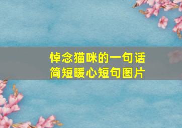 悼念猫咪的一句话简短暖心短句图片