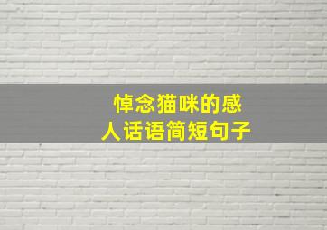 悼念猫咪的感人话语简短句子