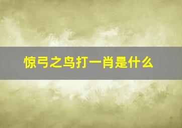 惊弓之鸟打一肖是什么