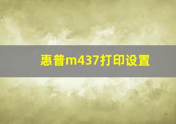 惠普m437打印设置