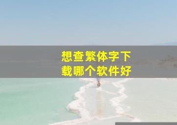 想查繁体字下载哪个软件好