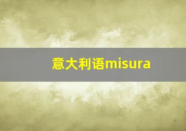 意大利语misura