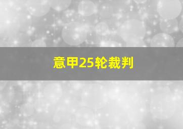 意甲25轮裁判