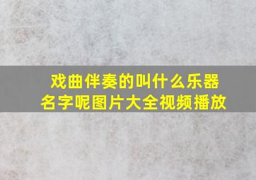 戏曲伴奏的叫什么乐器名字呢图片大全视频播放