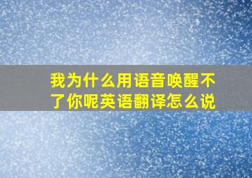 我为什么用语音唤醒不了你呢英语翻译怎么说