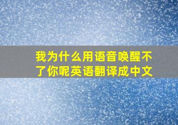 我为什么用语音唤醒不了你呢英语翻译成中文