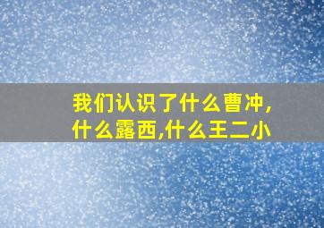 我们认识了什么曹冲,什么露西,什么王二小