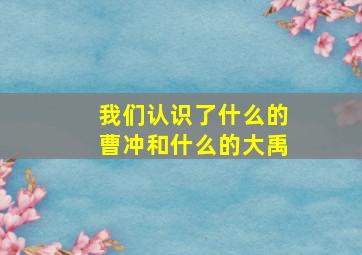 我们认识了什么的曹冲和什么的大禹