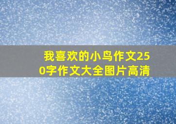 我喜欢的小鸟作文250字作文大全图片高清