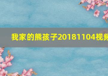 我家的熊孩子20181104视频