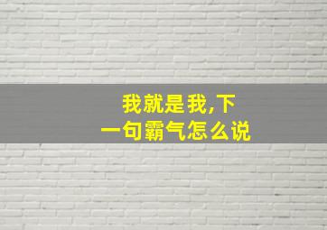 我就是我,下一句霸气怎么说