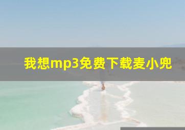 我想mp3免费下载麦小兜