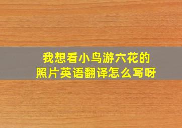 我想看小鸟游六花的照片英语翻译怎么写呀