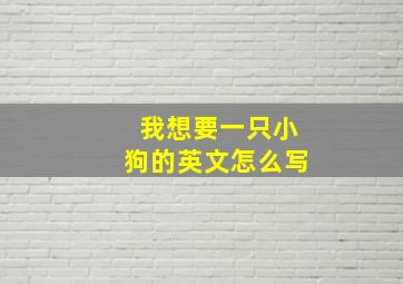 我想要一只小狗的英文怎么写