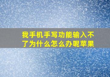 我手机手写功能输入不了为什么怎么办呢苹果