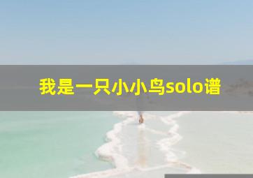 我是一只小小鸟solo谱