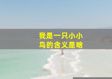 我是一只小小鸟的含义是啥