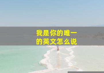 我是你的唯一的英文怎么说