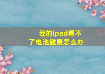 我的ipad看不了电池健康怎么办