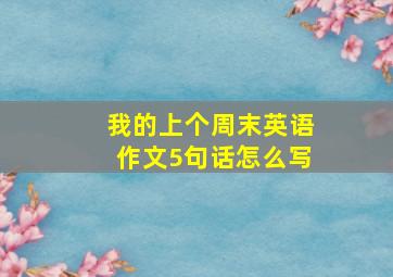 我的上个周末英语作文5句话怎么写