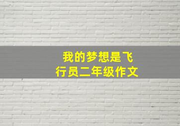 我的梦想是飞行员二年级作文