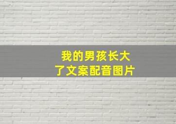 我的男孩长大了文案配音图片