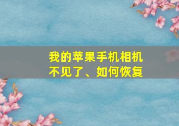 我的苹果手机相机不见了、如何恢复