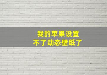 我的苹果设置不了动态壁纸了