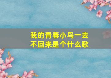 我的青春小鸟一去不回来是个什么歌