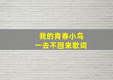 我的青春小鸟一去不回来歌词