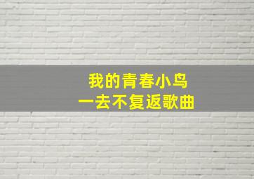 我的青春小鸟一去不复返歌曲