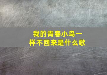 我的青春小鸟一样不回来是什么歌