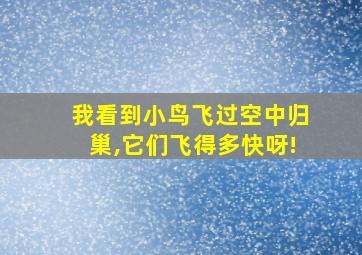 我看到小鸟飞过空中归巢,它们飞得多快呀!