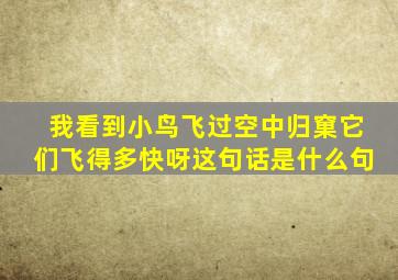 我看到小鸟飞过空中归窠它们飞得多快呀这句话是什么句