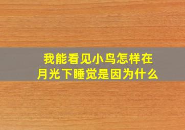 我能看见小鸟怎样在月光下睡觉是因为什么