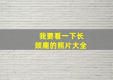 我要看一下长颈鹿的照片大全