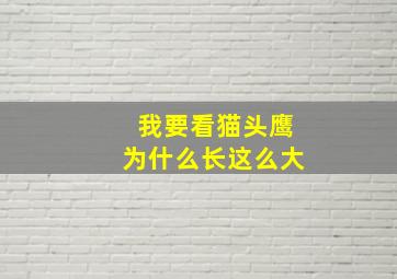 我要看猫头鹰为什么长这么大