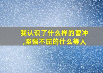 我认识了什么样的曹冲,坚强不屈的什么等人