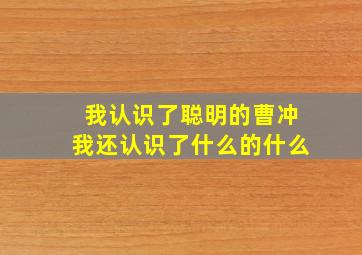 我认识了聪明的曹冲我还认识了什么的什么