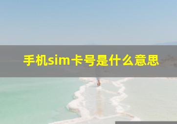 手机sim卡号是什么意思