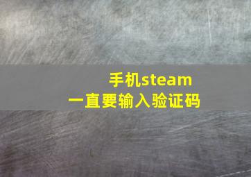 手机steam一直要输入验证码